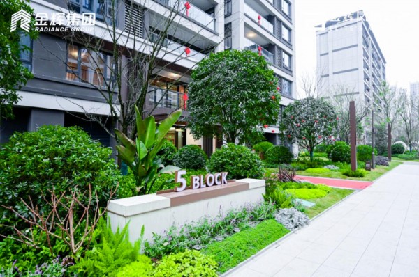 1720581530217499.jpg 圖片 2.JPG